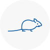Mice Exterminators In Leominster
