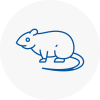 Rat Control Leominster